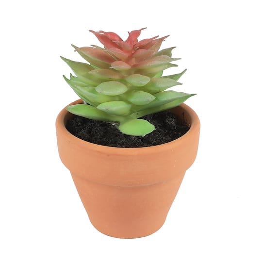 6 Packs: 6 ct. (36 total) Mixed Mini Premade Succulents in Terra Cotta Pots by Ashland®